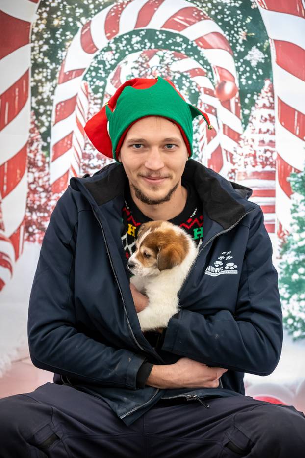 I psići vole advent: Preslatke fotke štenaca koji traže dom