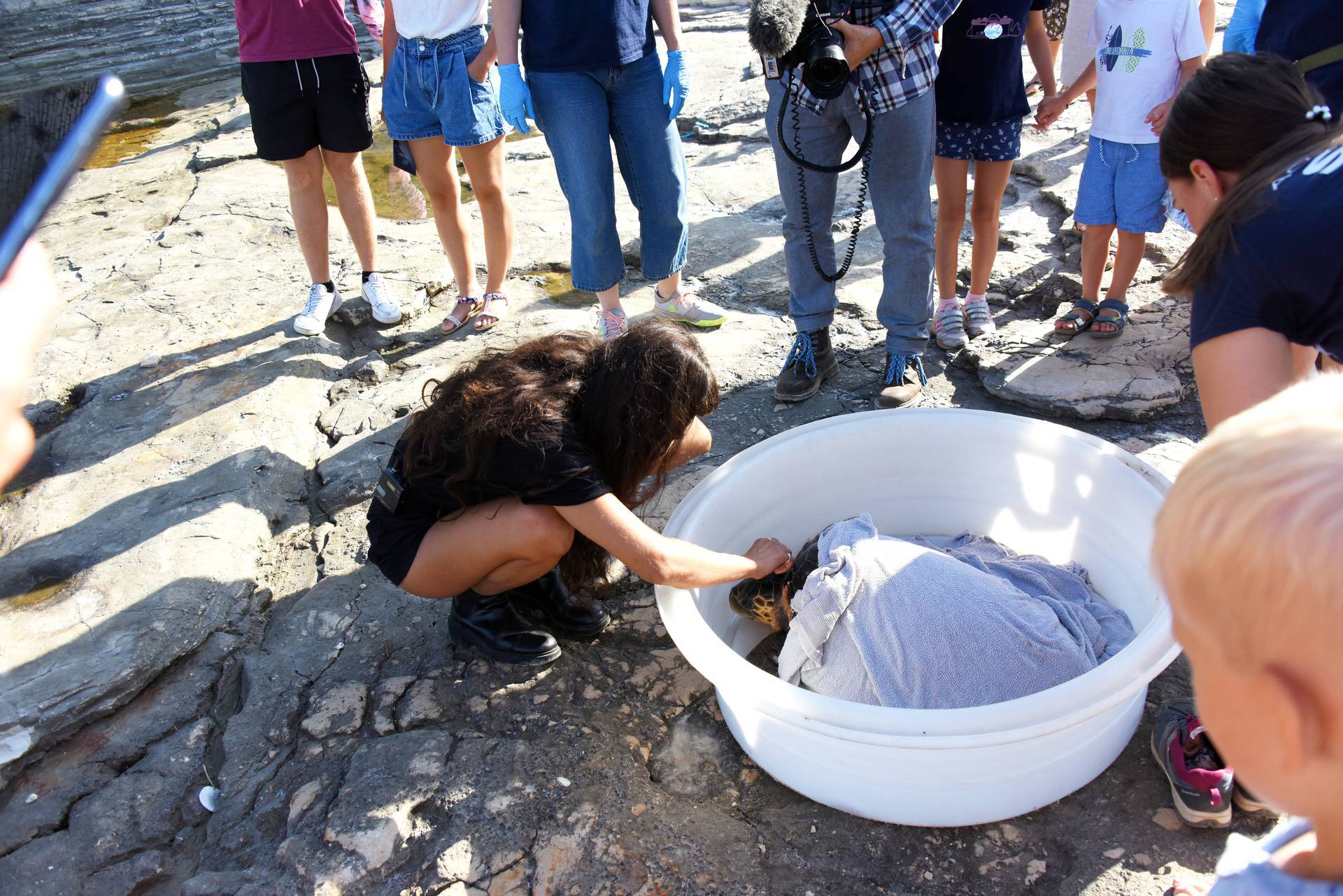 Kornjača Zdravka vraćena je u more nakon što se oporavila u pulskom Aquariumu