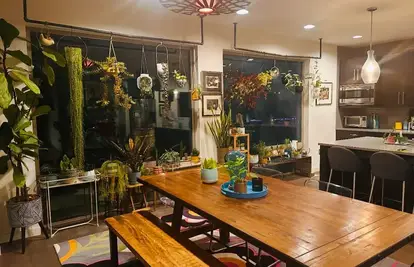 Preobrazba koja je oduševila internet: Mužev momački stan pretvorila je u pravu džunglu