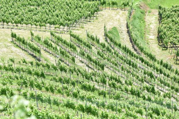 Štrigova: Prekrasan pogled s Mađerkinog brega