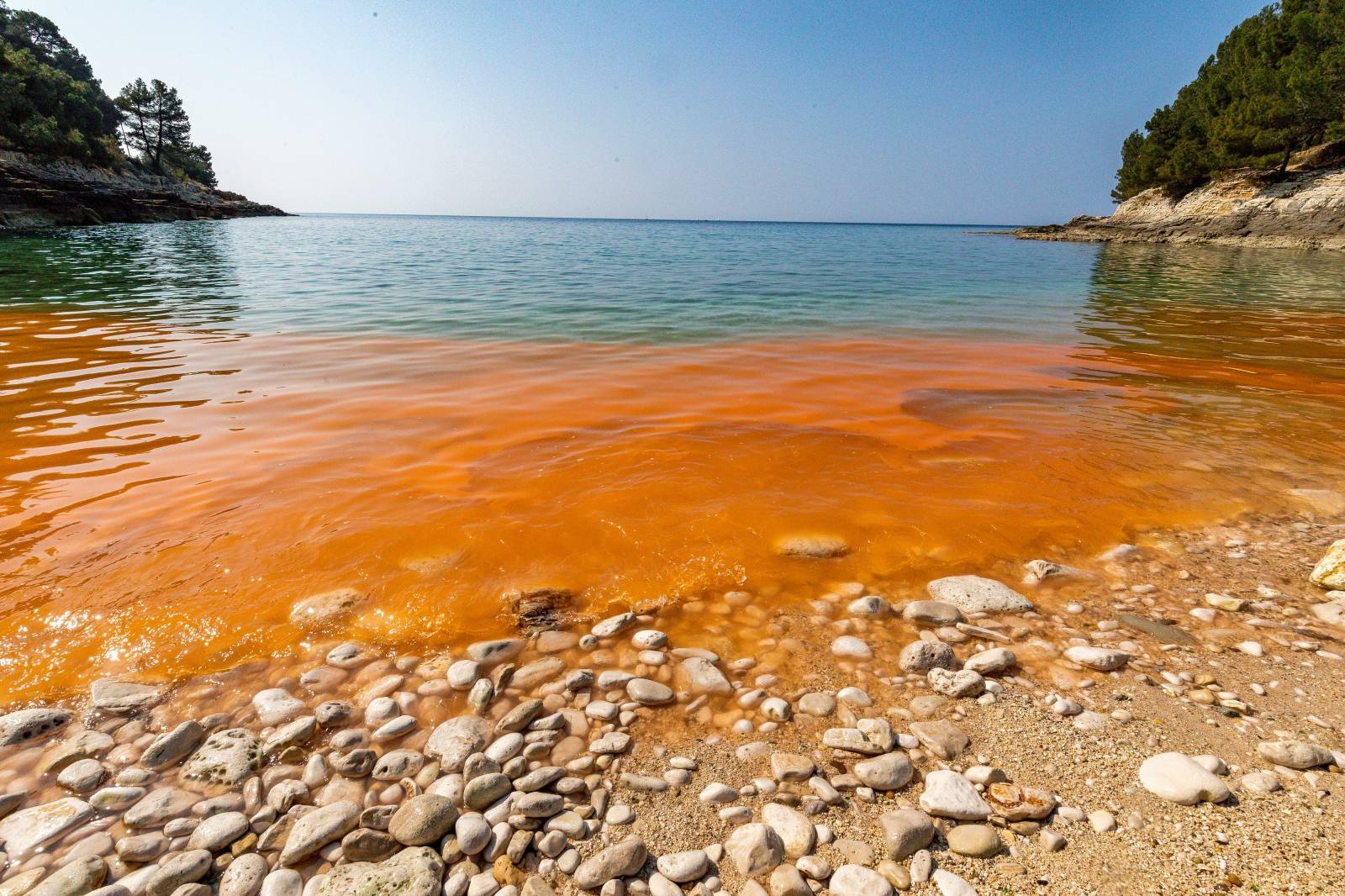 Cvjetanje mora na pojedinim pulskim plažama