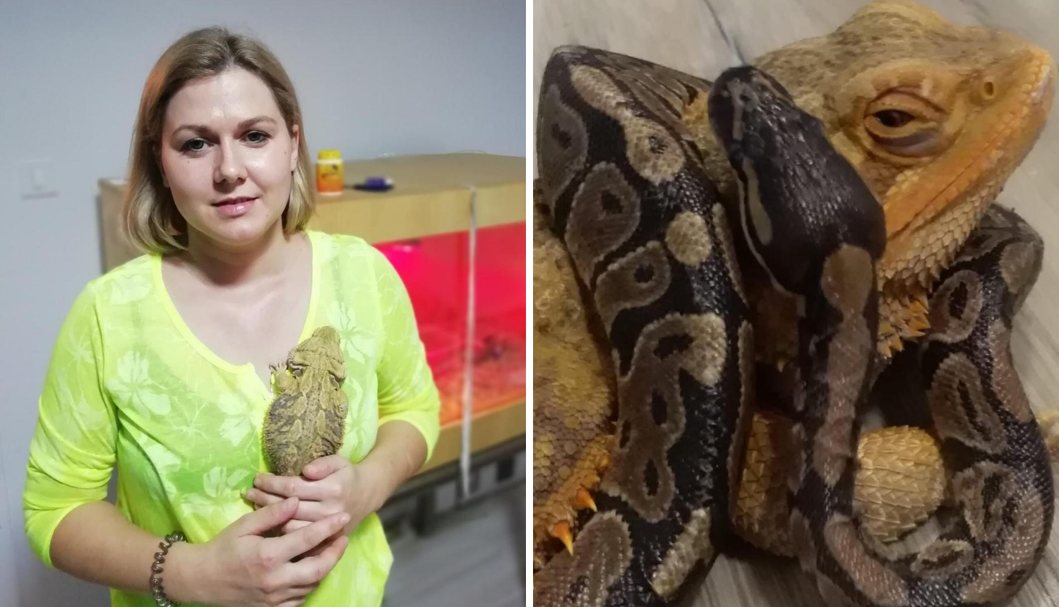 Stanovnici Markuševca: Imamo mi većih problema od zmijurine