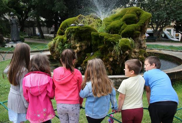 Kornjače u poznatoj šibenskoj fontani dobile društvo - 18 ribica