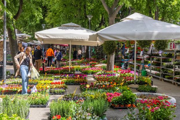 Pula: 17. sajam cvijeća Florija na Giardinima