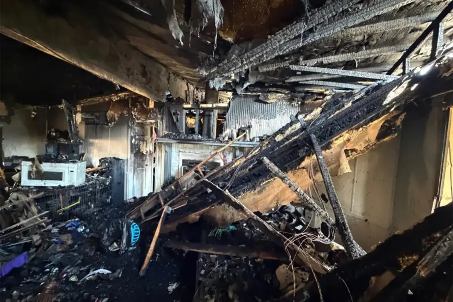 Drama na Floridi: Vjeverica se igrala s kablovima, izazvala požar i zapalila obiteljsku kuću