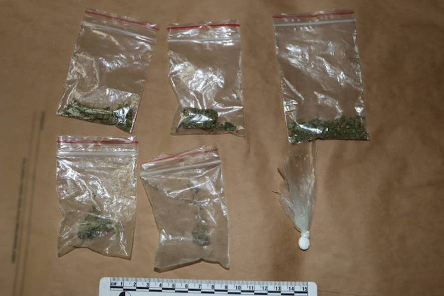 Pao diler u Susedgradu. Našli mu kokain, travu, vagu, novce