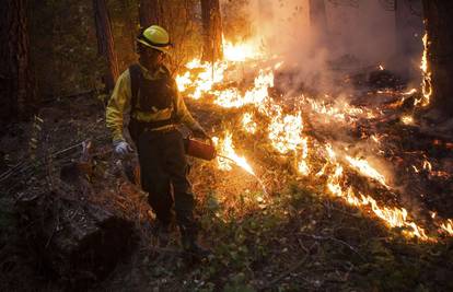 Izvanredno stanje: Veliki požar u SAD-u zahvatio je i Yosemite