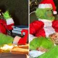 Mo&zcaron;ete li je prepoznati? Slavna je pjeva&ccaron;ica postala Grinch: 'Tiha no&cacute;? Ne dok sam ja tu!'