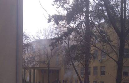 Vatrogasci spasili zapaljeni arhiv Veterinarskog fakulteta