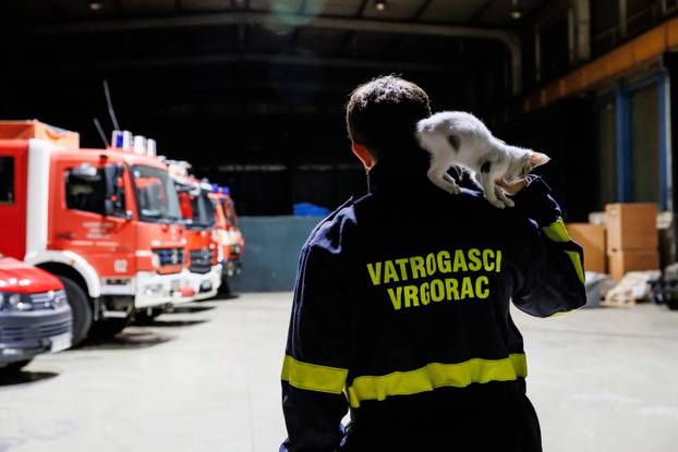 Vrgorac: Vatrogasci spasili 4 mačiča iz šahta gdje su ih pronašli ostavljene