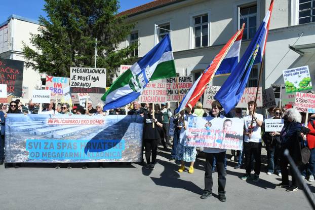 Sisak: Prosvjed protiv izgradnje megalomanskih uzgojnih i klaoni&ccaron;kih pogona pili&cacute;a