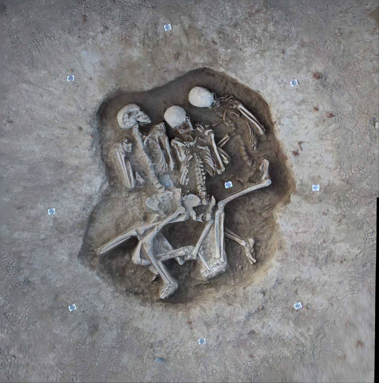 U Slavoniji pronašli grob s tri kostura star oko 5000 godina