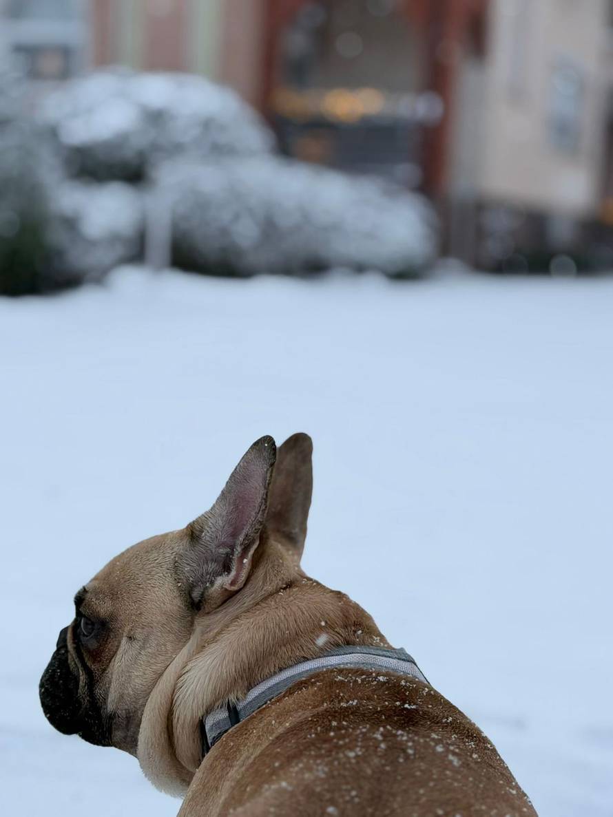 Općinska komunalka sama 'izlopatala' snijeg sa staze: 'Nema nikakve drame u tome'