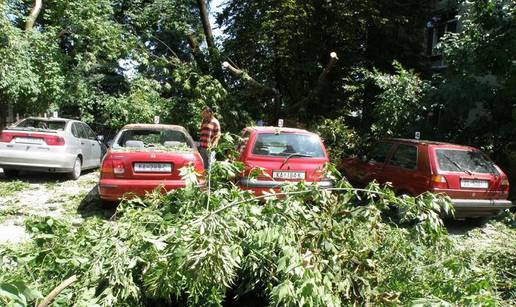 Stablo javora srušilo se na četiri parkirana automobila