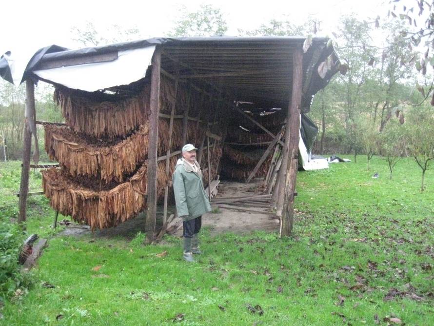 Mihael Hnatyšyn/24sata