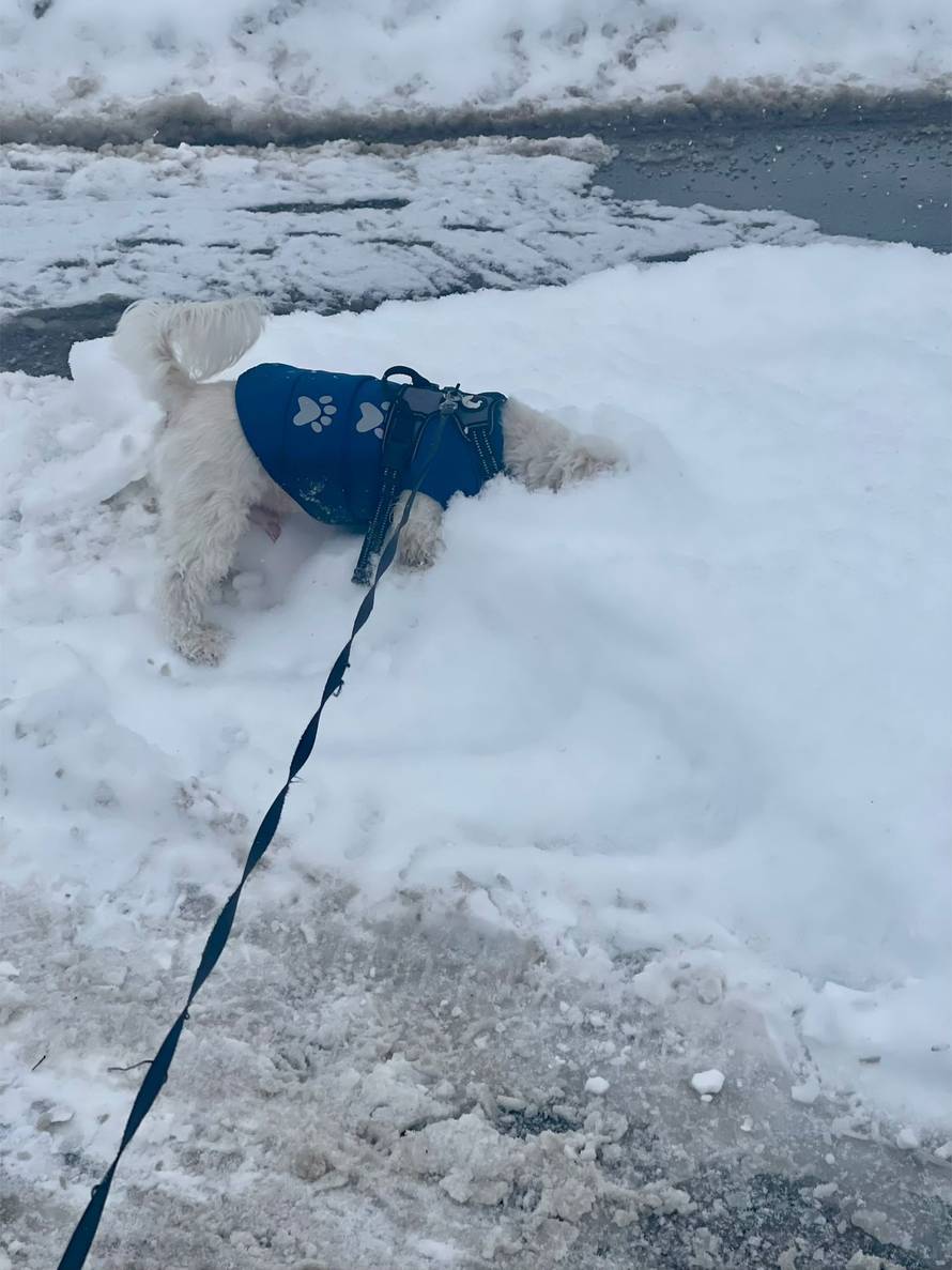 Općinska komunalka sama 'izlopatala' snijeg sa staze: 'Nema nikakve drame u tome'