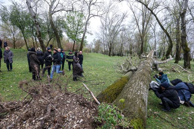 Zagreb: Tomislav Toma&scaron;evi&cacute; obi&scaron;ao je Bundek