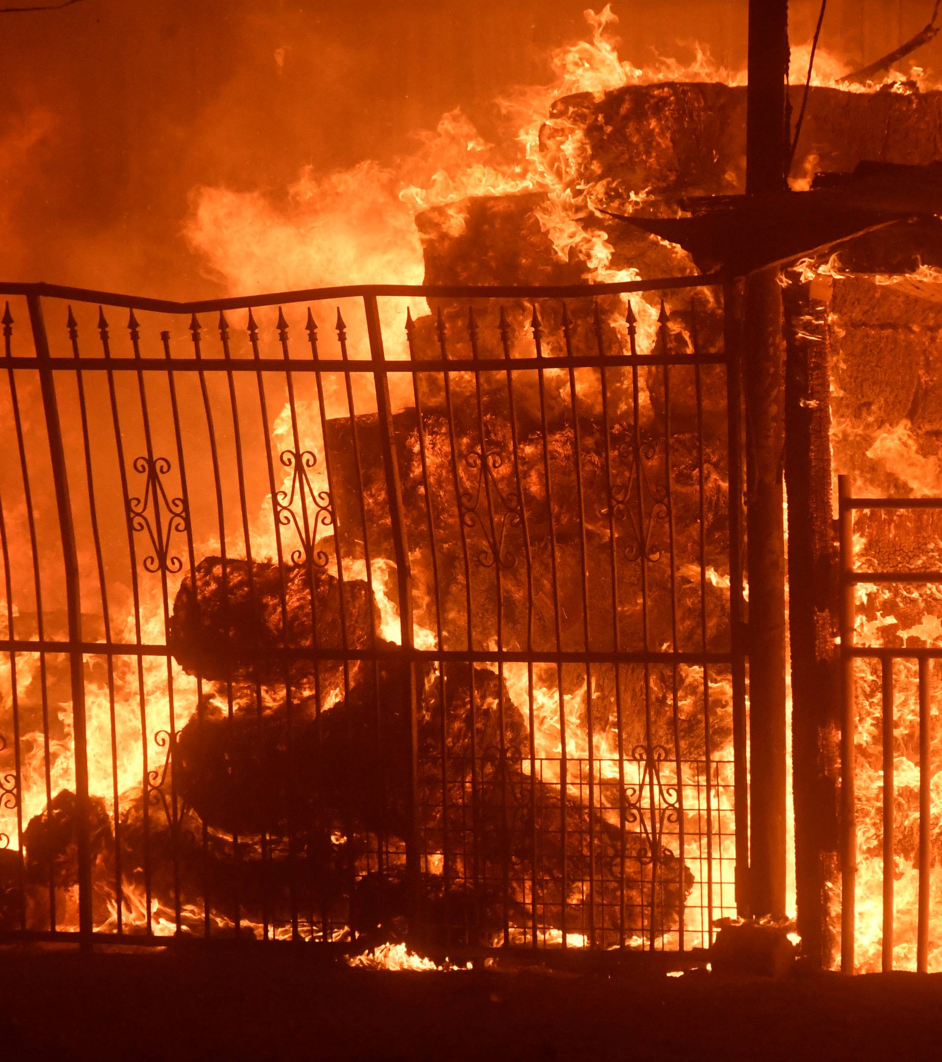 Wildfire engulfs horse stables after an early-morning Creek Fire that broke out in the Kagel Canyon area in the San Fernando Valley north of Los Angeles