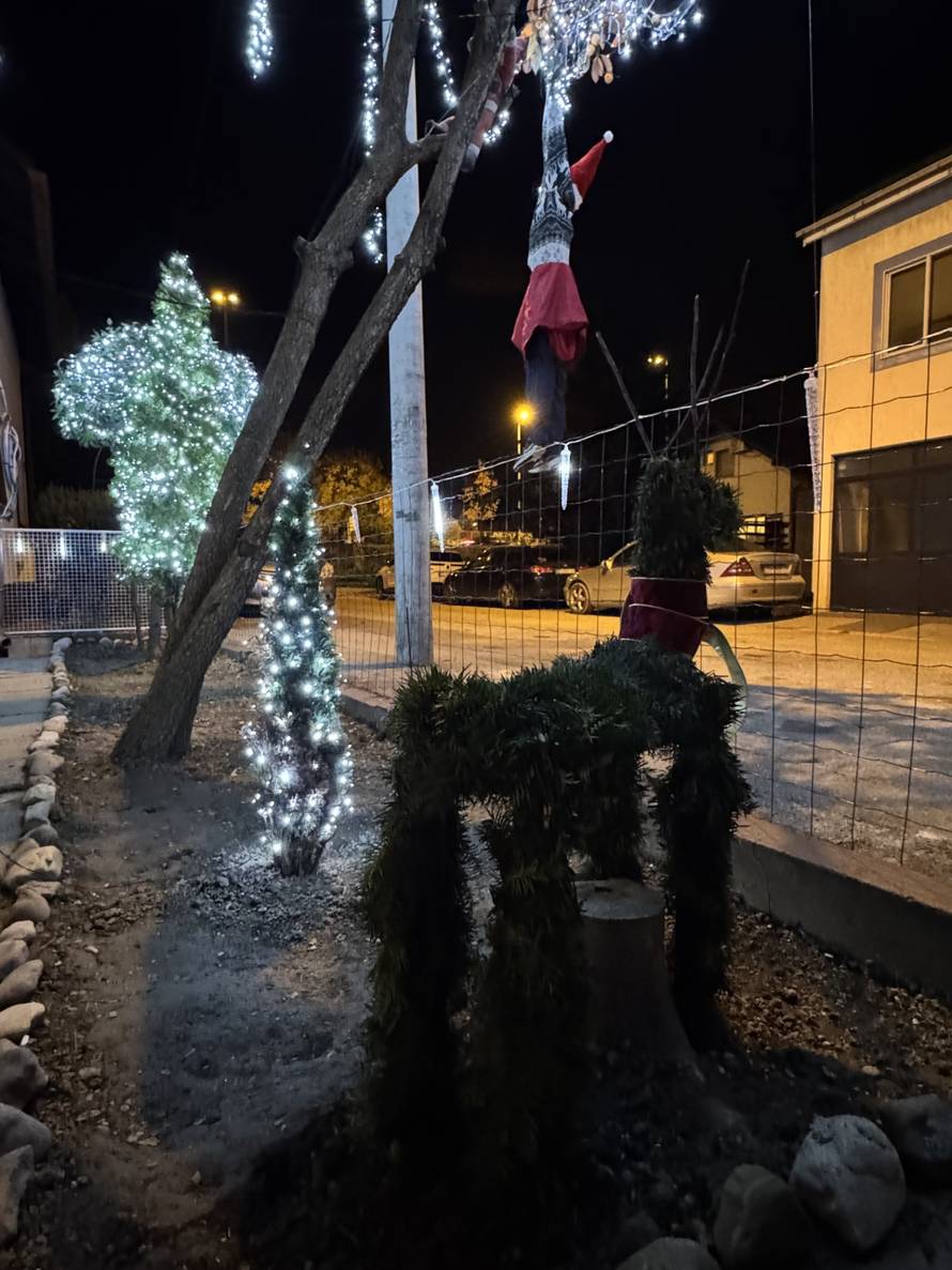 Božić je već stigao na Jarun, Leonard osvijetlio cijelu kuću: 'Dolaze nam i djeca iz kvarta'
