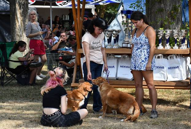 Požega: Nacionalna izložba pasa "CAC Požega 2024."