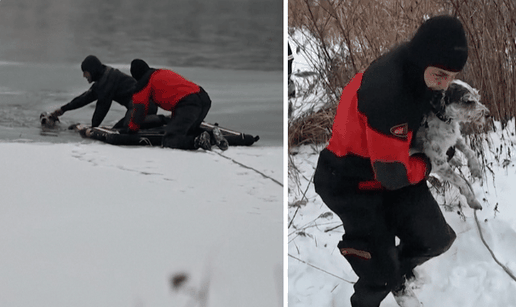 VIDEO Pas propao u ledeni Dunav: Brzom intervencijom vatrogasaca spa&scaron;en i ugrijan