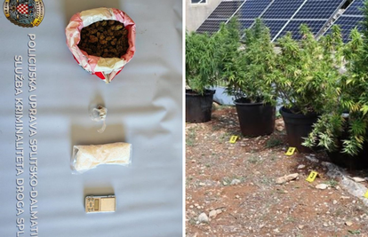 FOTO U Trogiru i na Hvaru pronašli speed i marihuanu