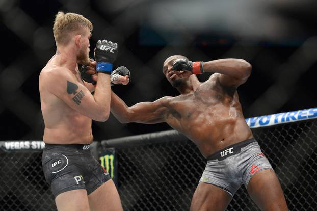 MMA: UFC 232-Jones vs Gustafsson