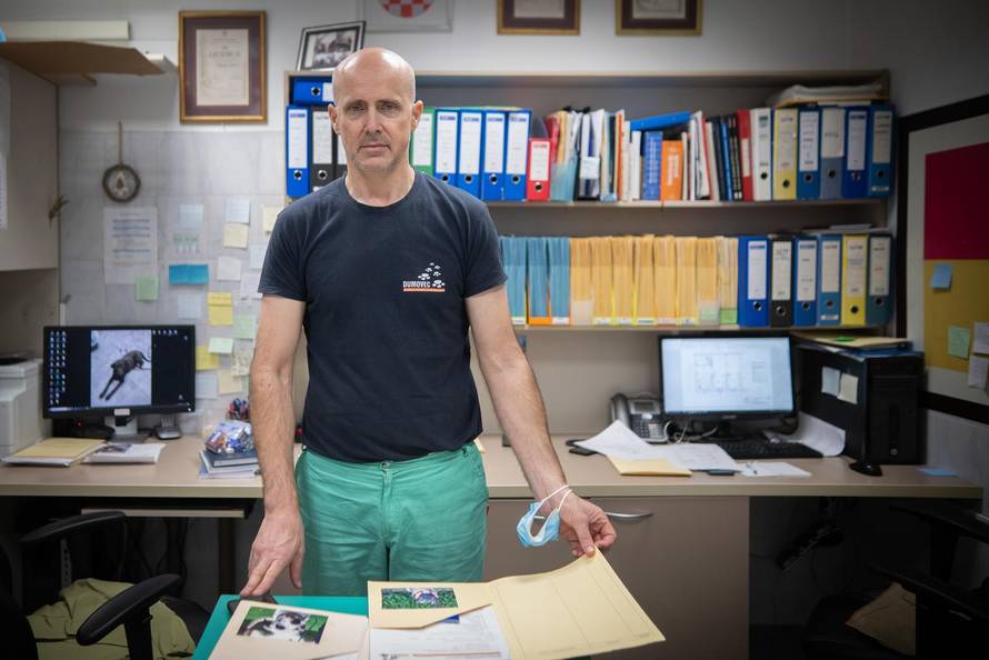 Zagreb: Priča o psima koji doniraju krv 