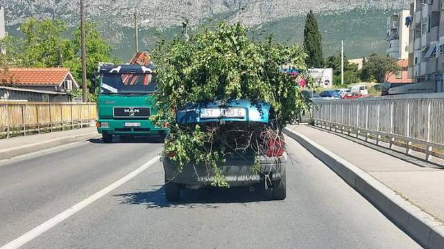 Urnebesna snimka iz Splita: 'Što je ovo?! Zeleni Opel? Grane su virile svuda, vozio je centrom'