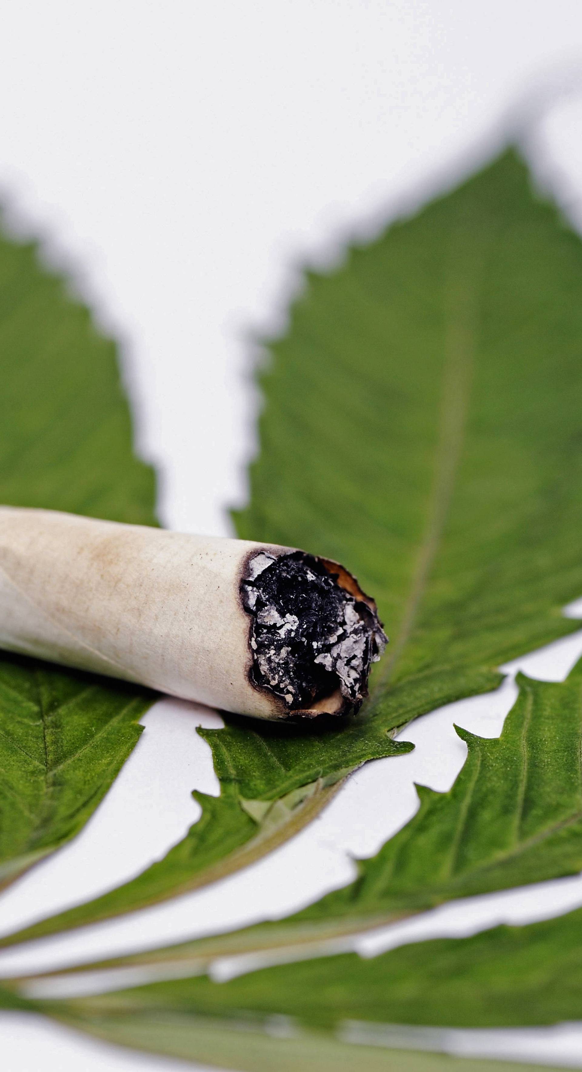 Joint auf einem Cannabisblatt, joint on a Cannabis leaf