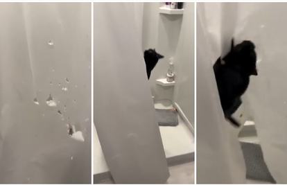 VIDEO Pitao se odakle rupe po zavjesama pa snimio krivca...