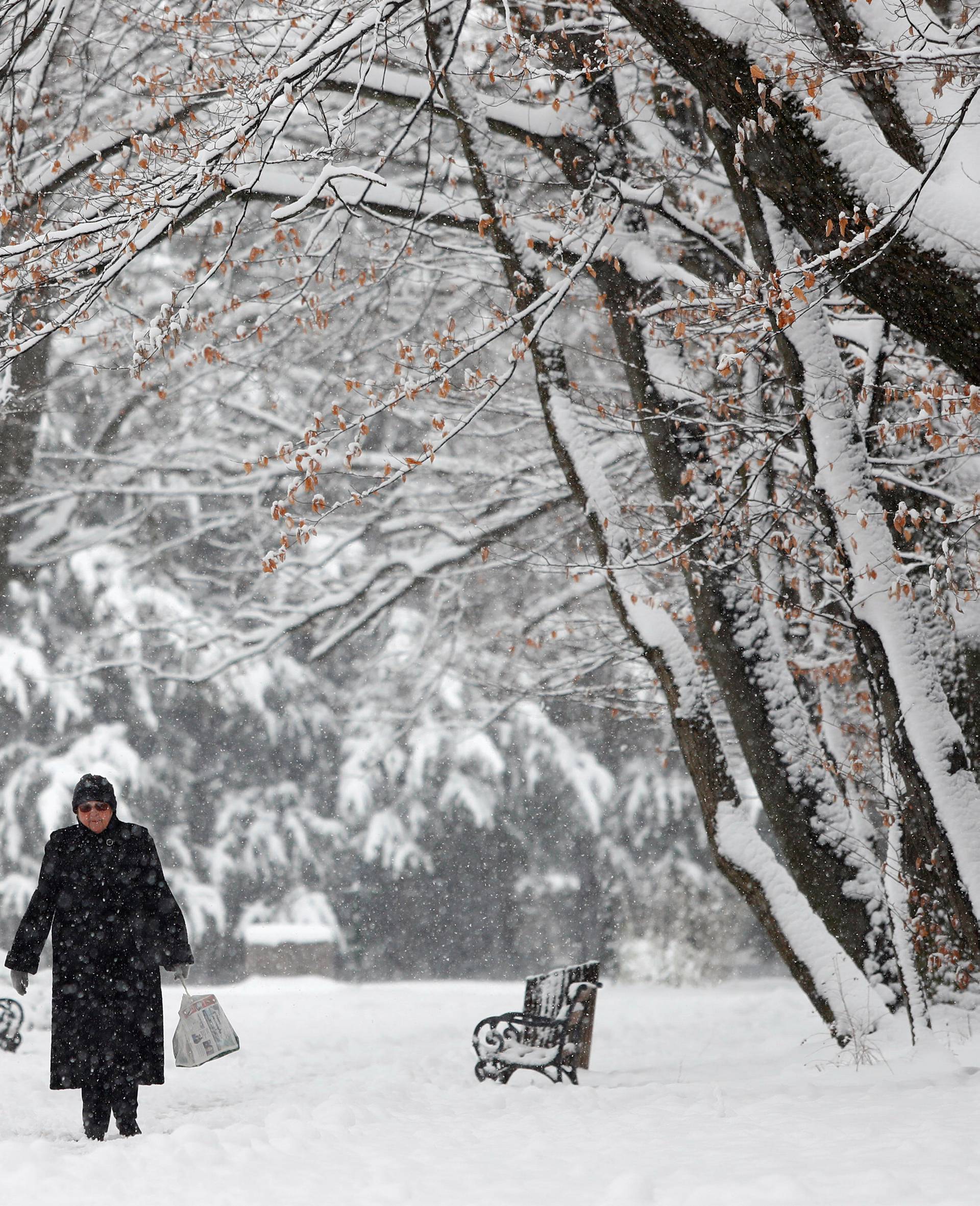 A woman walks under the falling snow in Zagreb's park Maksimir
