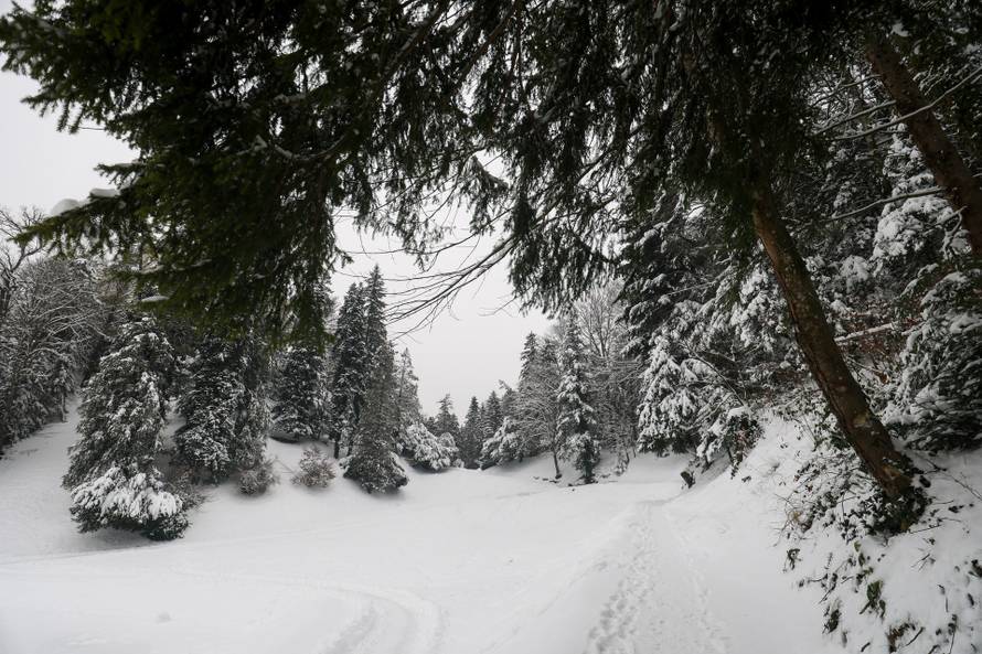 Trakošćan: Zaleđeno jezero Trakošćan stvara magičnu zimsku sliku