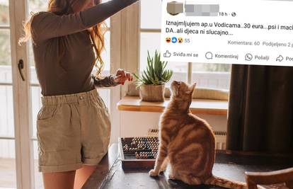 Oglas za apartman naljutio Hrvate! Vlasnica: 'Mačke i pse primam, ali djecu - ni slučajno!'