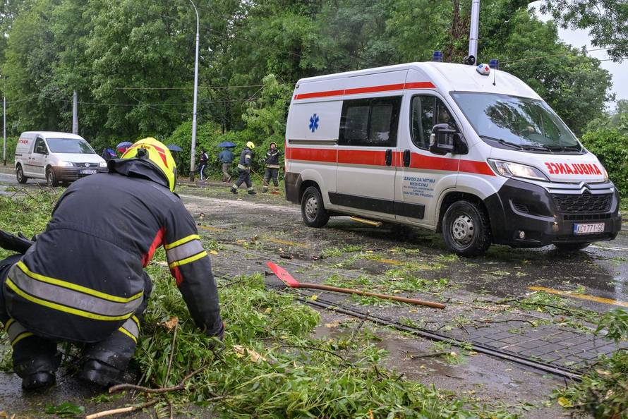 Zagreb: Palo stablo na Maksimirskoj, blokiran promet, vatrogasci na terenu
