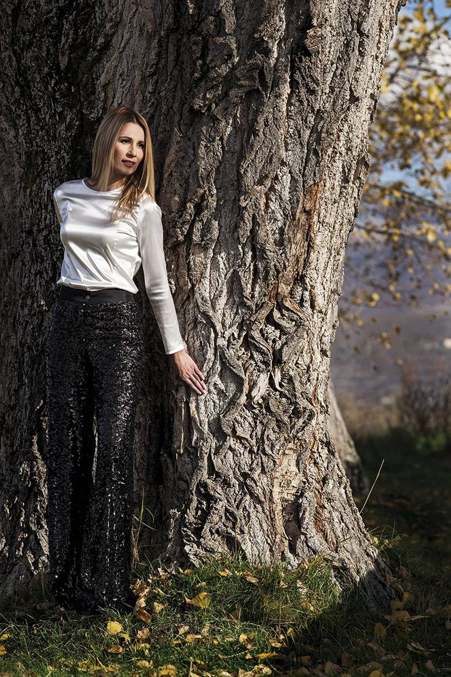 Milan od Seve htio 308.000 €, a cura Marića tražila pola auta