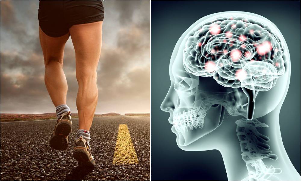 Jeste li znali što trčanje zapravo radi našem mozgu?