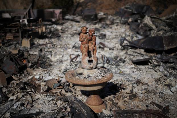 Wildfires in Los Angeles