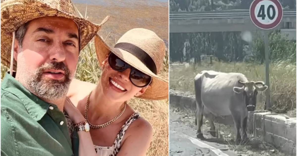 Bojana Gregorić Vejzović i muž Enes Vejzović našli se u avanturi: ‘Susret s kravama i čoporima pasa. Bilo je super!’