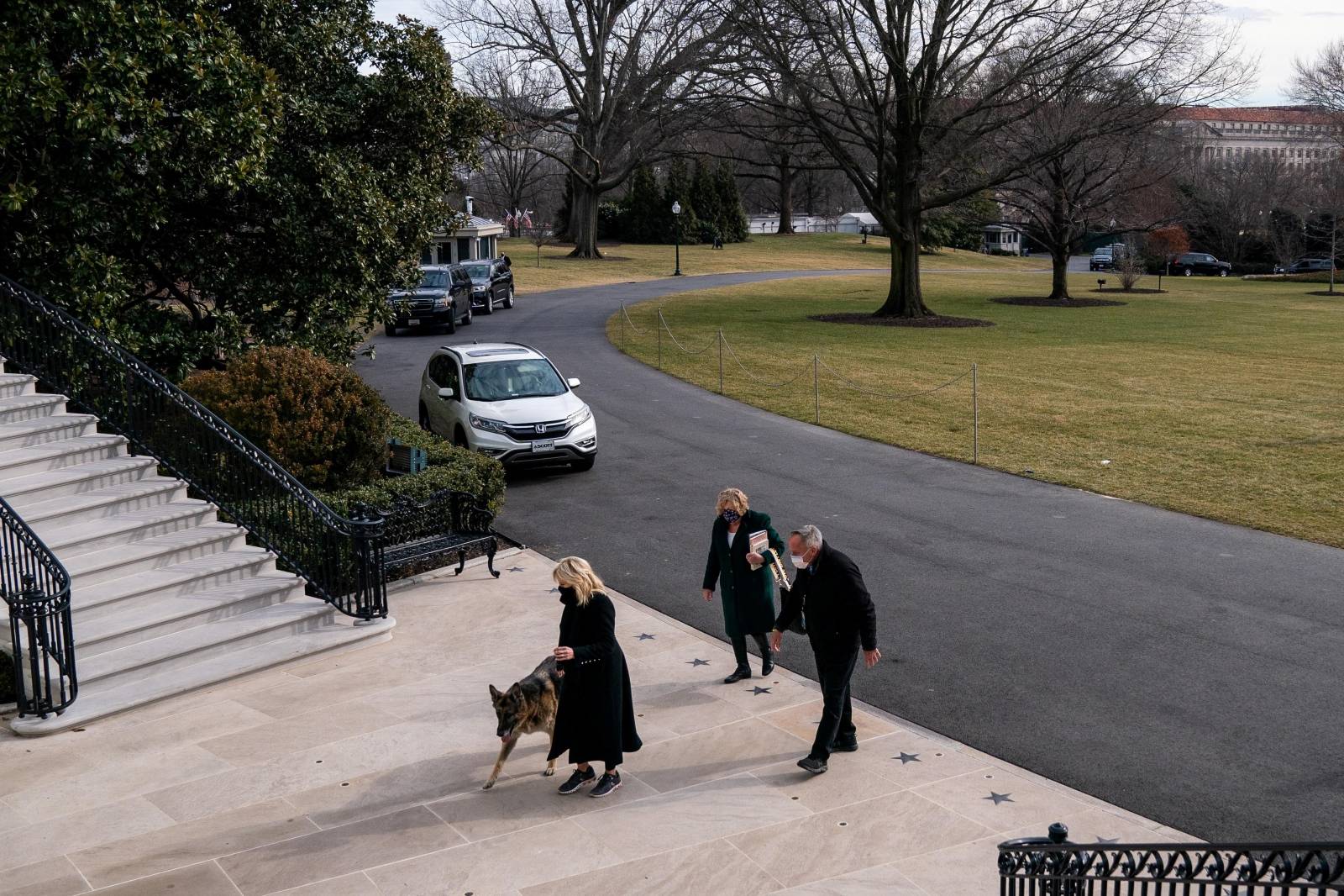 U.S. First Lady Jill Biden guides one of the family dogs, Champ, on his arrival at the White House