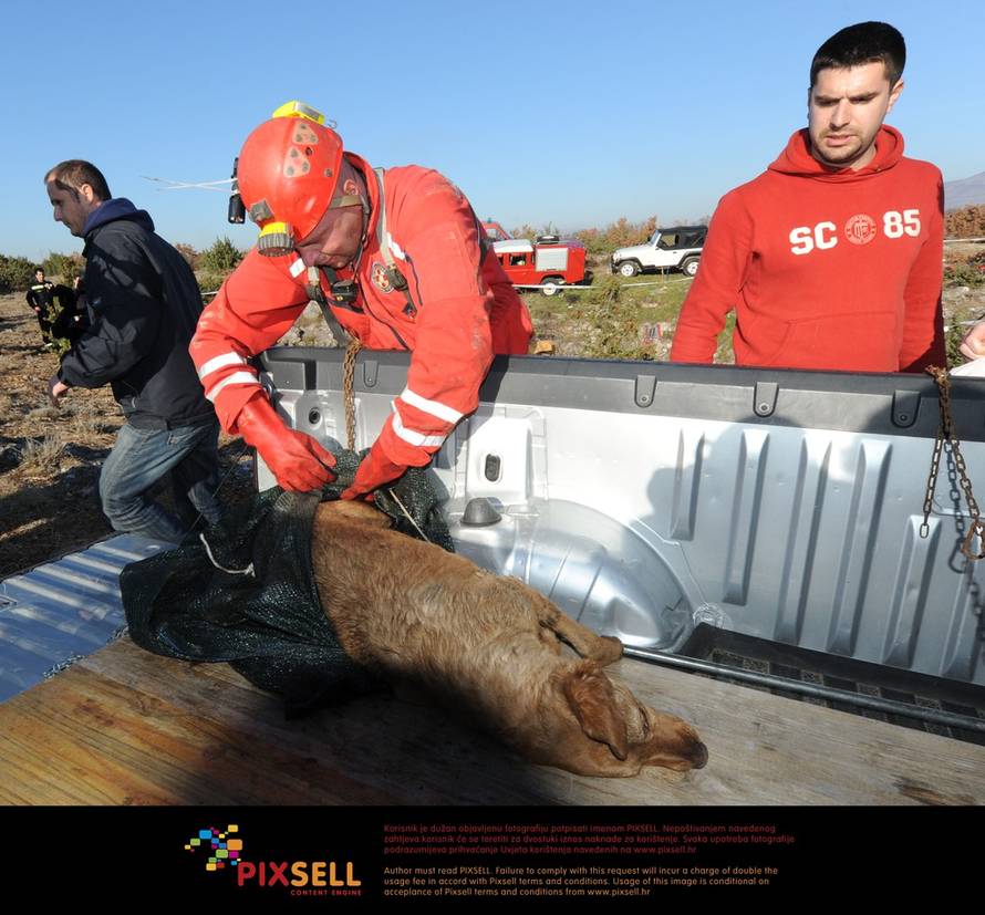 Hrvoje Jelavić/PIXSELL