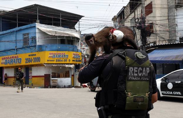 Police operation against drug trafficking at the favela do Penha in Rio de Janeiro