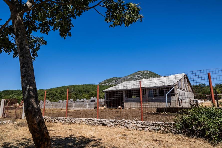 Gornje Maovice: Mjesto gdje je potvrđen slučaj bedrenice