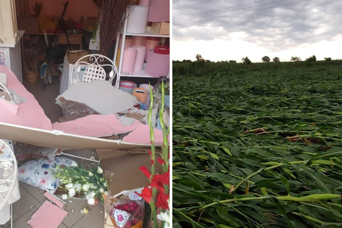 Slavoniju i Baranju poharalo nevrijeme: 'Samo se slijevala kiša i plavila sve što imamo'