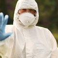 Rusija: 'Ne postoji opasnost od epidemije kuge kod Sibira'