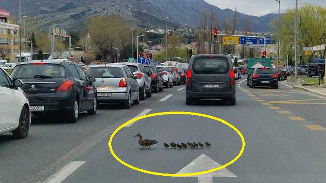 FOTO Konačno našli krivca za prometni krkljanac u Solinu! Ali kvako da se čovjek na njih ljuti?