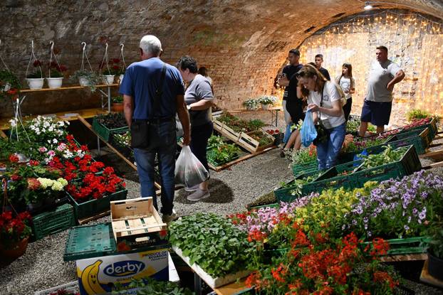 Slavonski Brod: Sajam cvijeća, sadnica, presadnica i cvijetnih dekoracija - Florafest 2026.