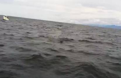 Bilo je blizu: Kit izletio iz mora i ribarima skoro pao u čamac