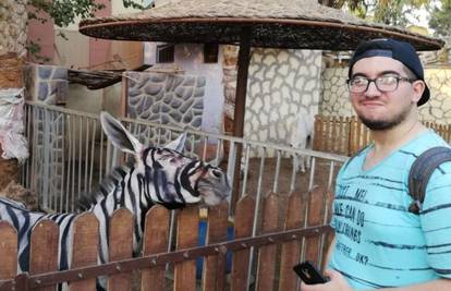 Nešto je jaaaako čudno ovdje:  ZOO tvrdi da su ovo - zebre?!