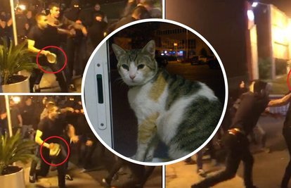Nestala maca Maja, vlasnica 'tećice' iz tučnjave u Splitu